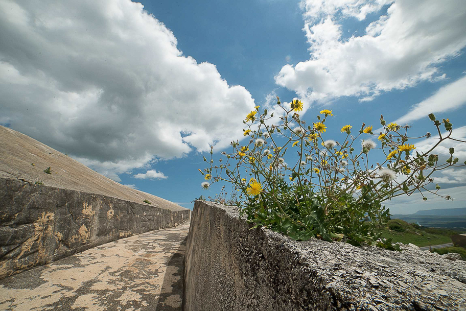 il cielo e i fiori sul terremoto